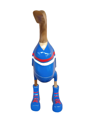 Footy Ducks 40cm