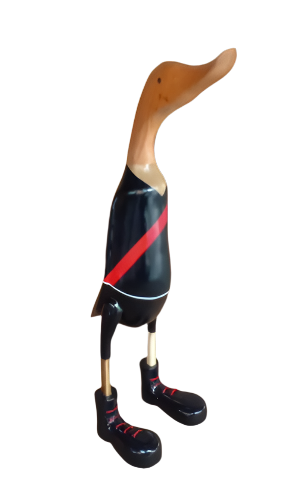 Footy Ducks 40cm