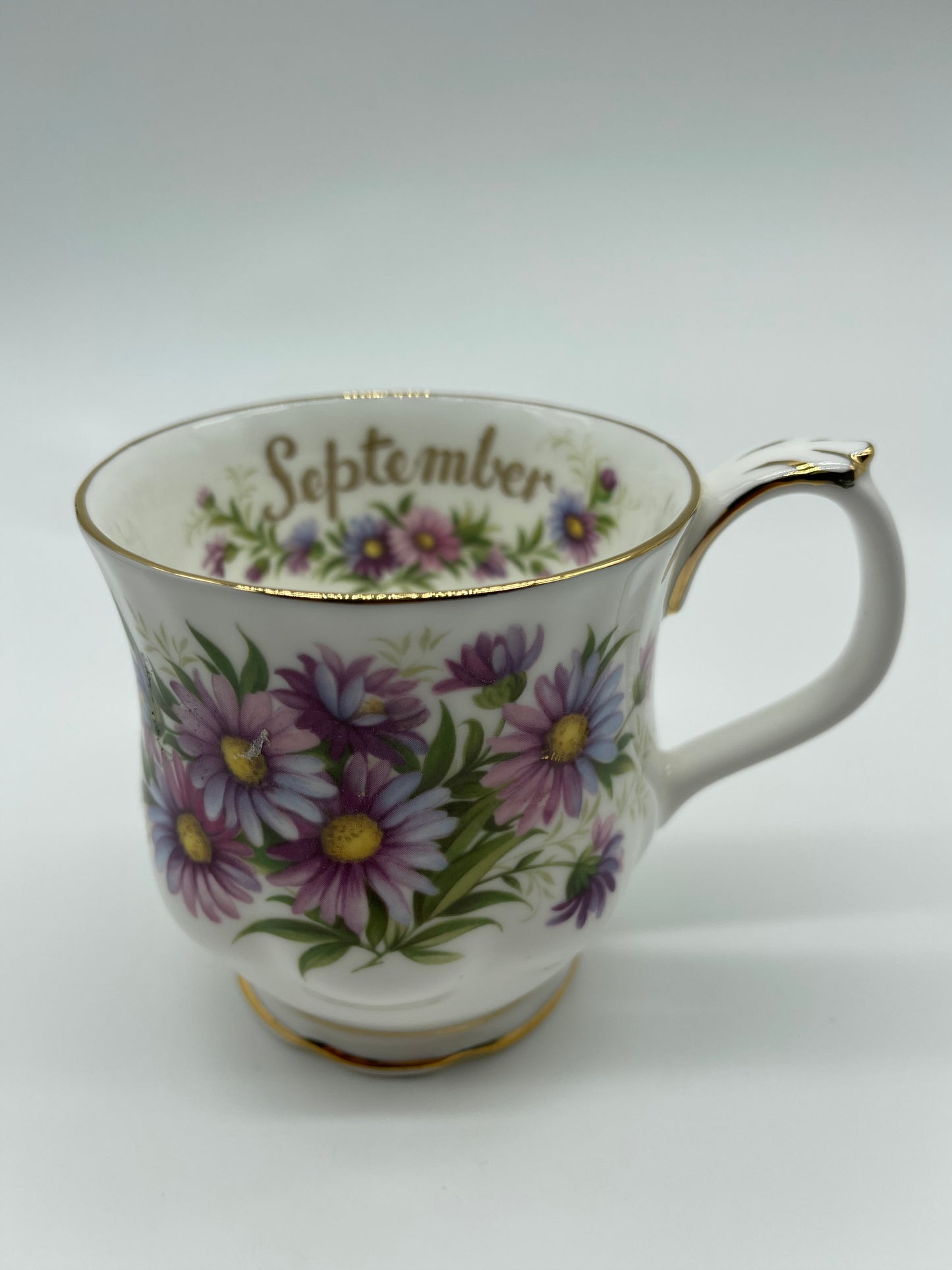 Vintage Flower Of The Month Mug Collection Royal Albert Made In England (New)