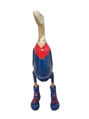 Footy Ducks 40cm