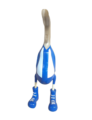 Footy Ducks 40cm