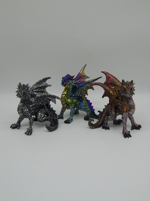 Young Dragon in Defence Pose