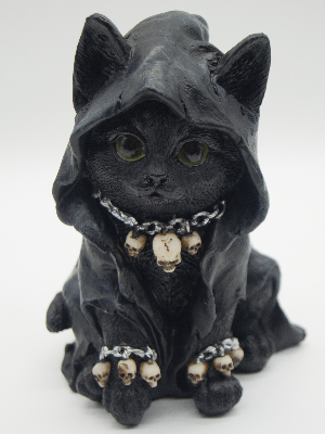 Black Cat Devil Witch Gothic