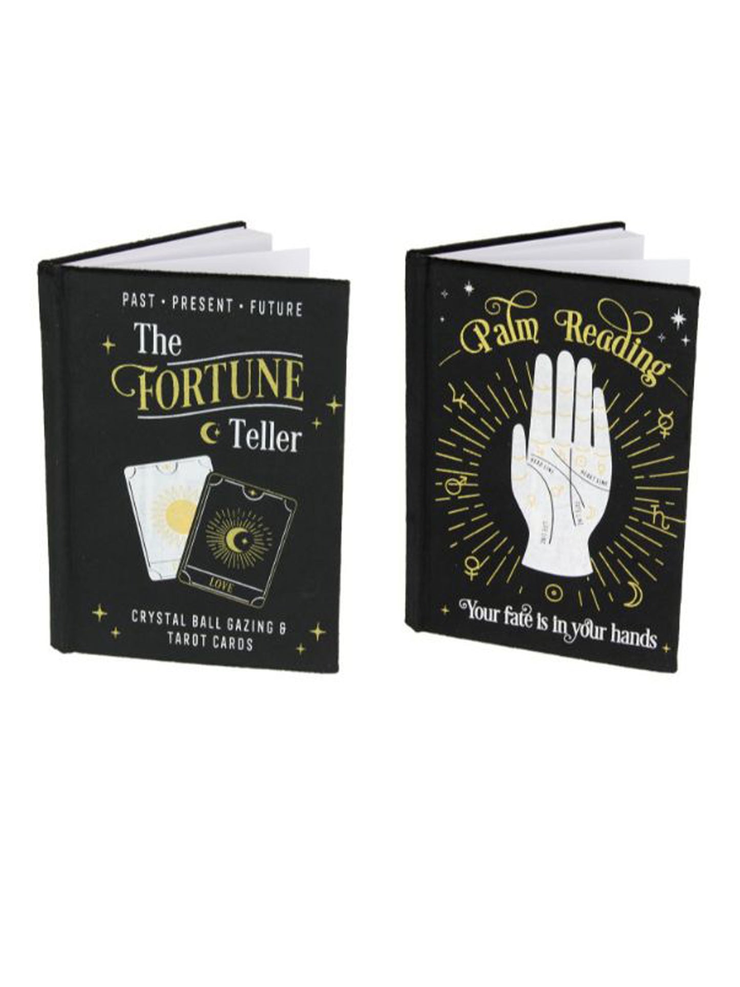 Fortune Teller And Palm Reading Note Book
