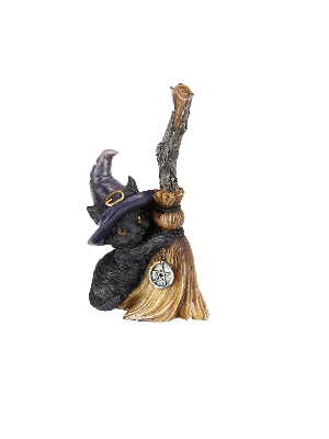 Cat Witch On Celtic Broom