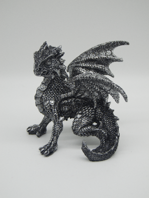 Young Dragon in Defence Pose