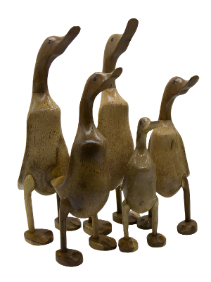 Duck Wooden Flat Feet Family