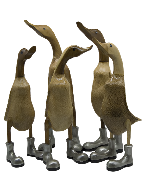 Duck Wooden Silver Boots