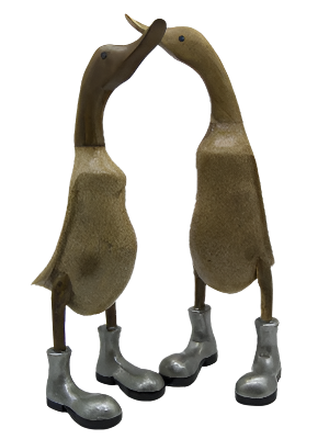 Duck Wooden Silver Boots