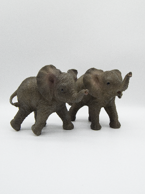 Baby Elephant Standing