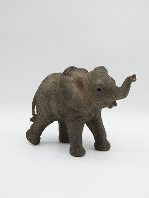 Baby Elephant Standing