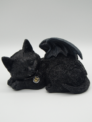Sleeping Black Cat