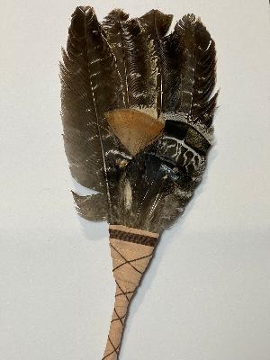 Smudging Feathers Turkey