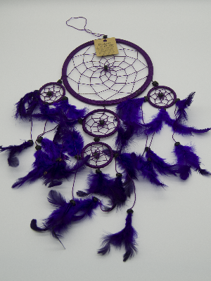 Dreamcatchers 16cm Pink And Blue