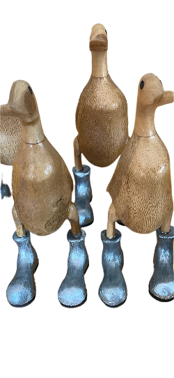 Duck Wooden Silver Boots