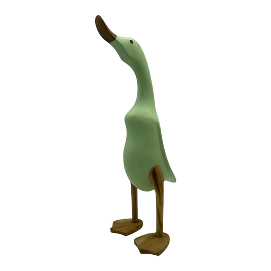A Greens Wooden Duck ready for the Election 2 Sizes