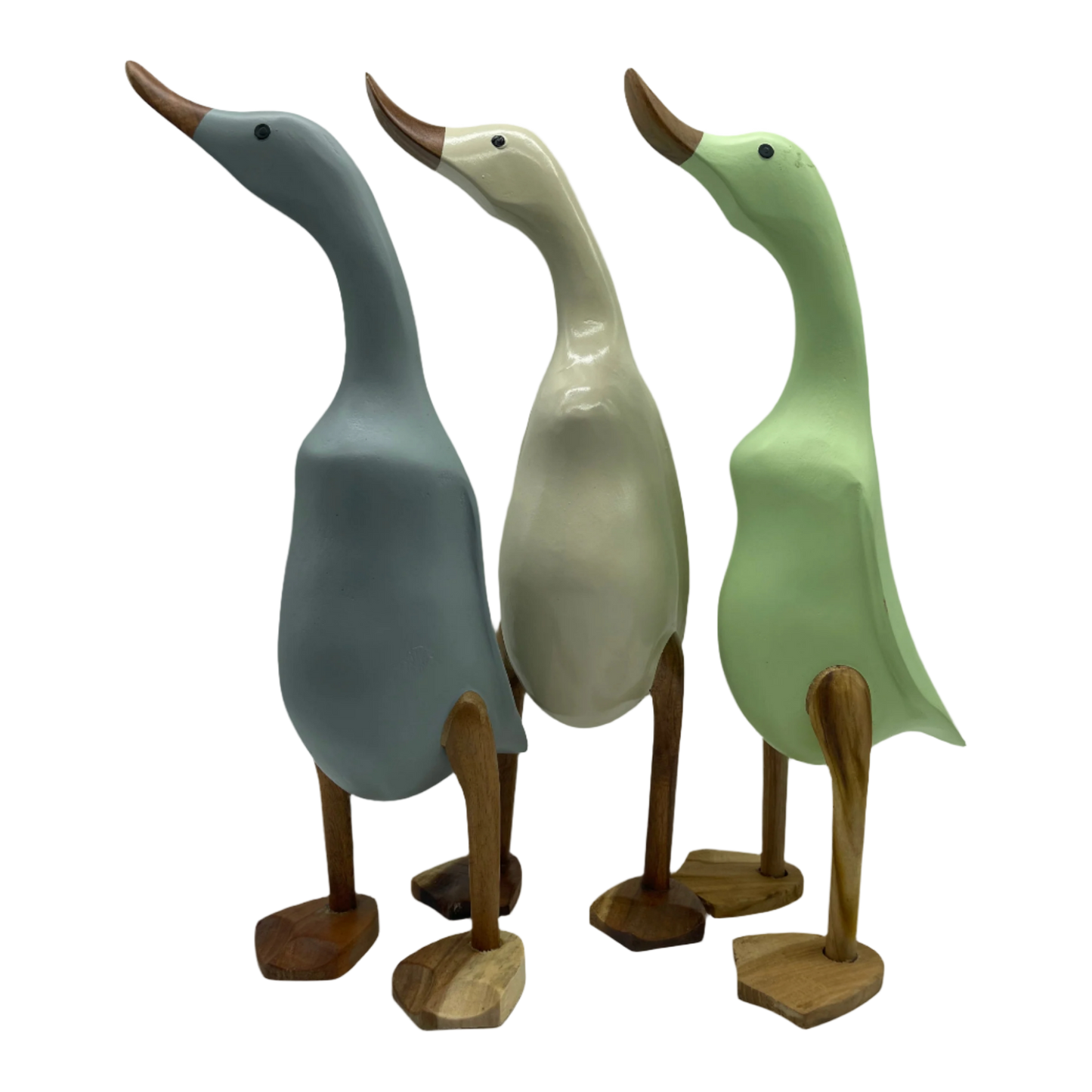 A Greens Wooden Duck ready for the Election 2 Sizes