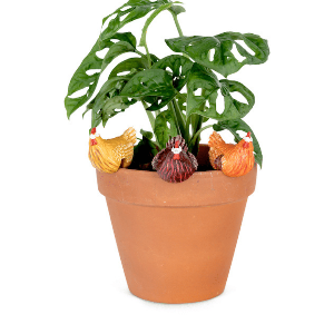 Chicken Pot Plant  Sitter Assorted White Only