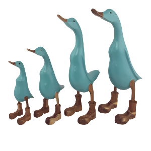 A Teal Ducks In Brown Boots ready for the Election