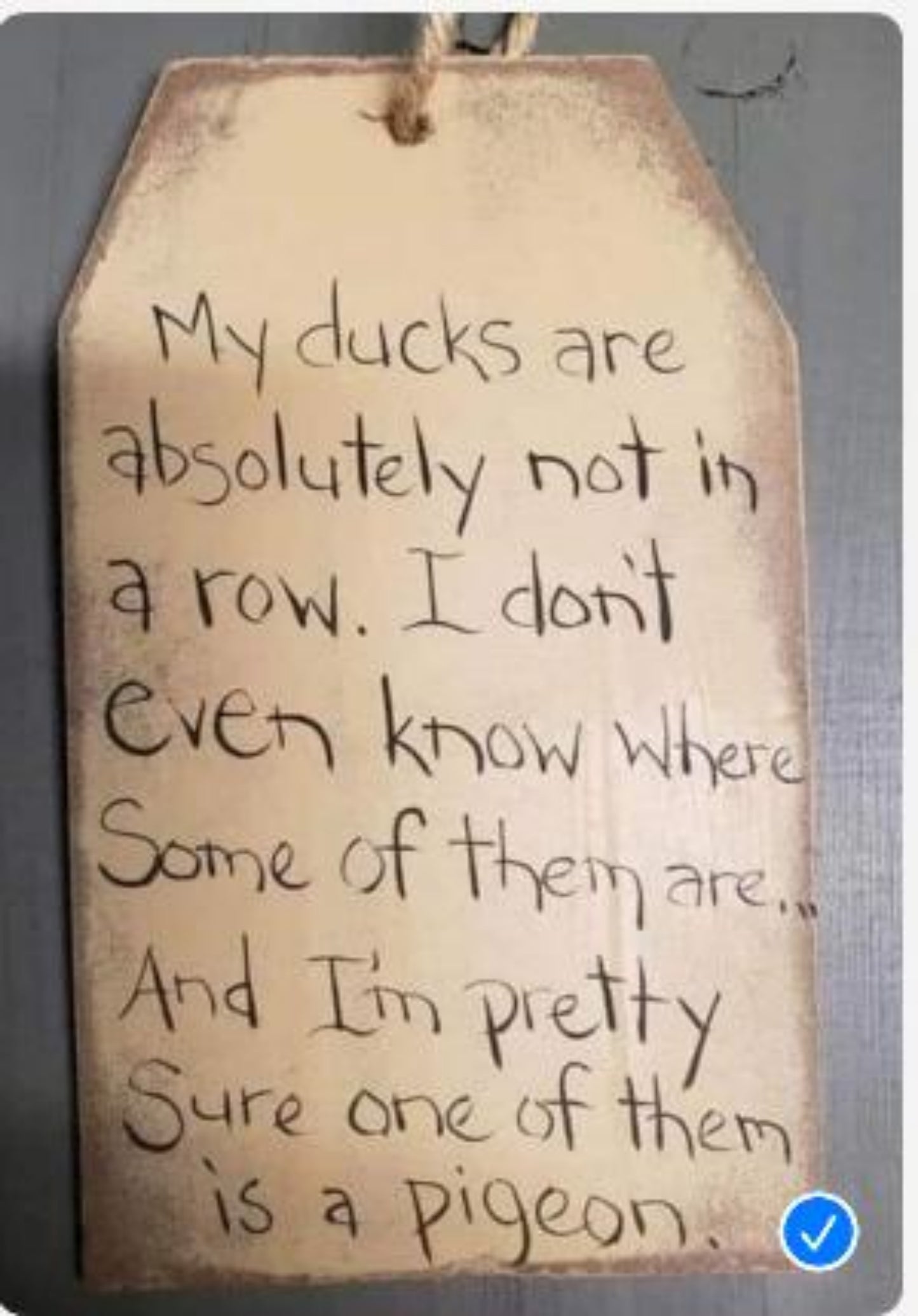 A Wooden Ducks With  Grey Or Yellow Stripes Boots And Hat