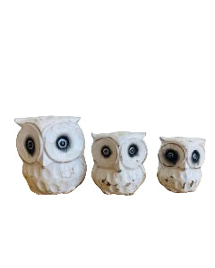 Owls Set Of 3 Natural