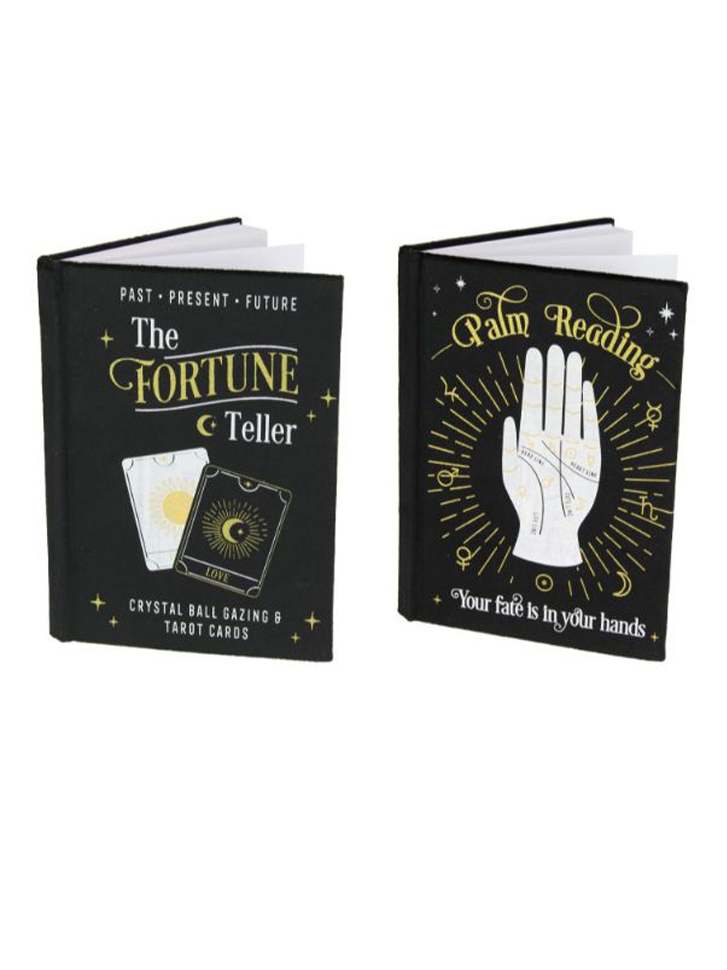 Fortune Teller And Palm Reading  Note Book