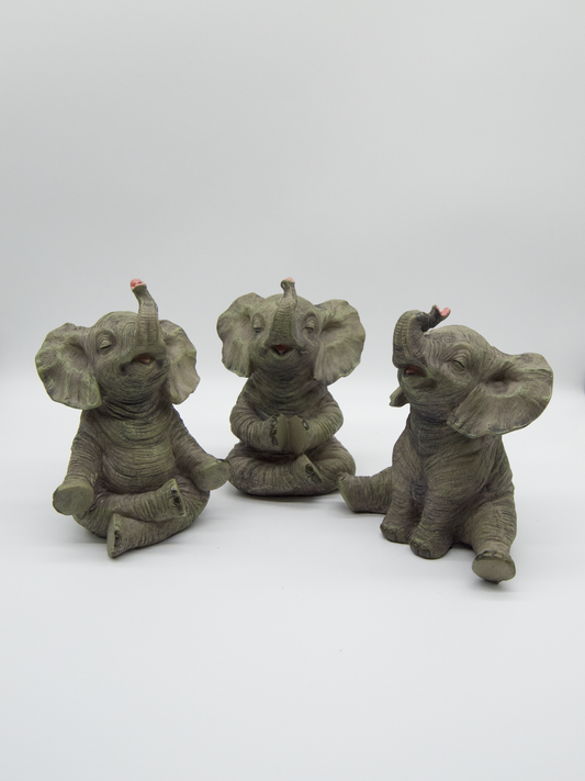 Elephant Cute Doing Yoga