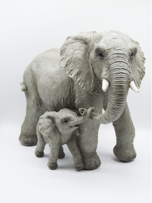 Elephant With Baby Holding Trunk