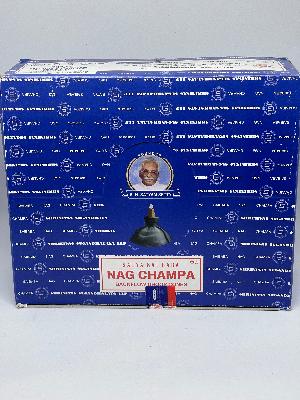 Satya Nagchampa Backflow Cones