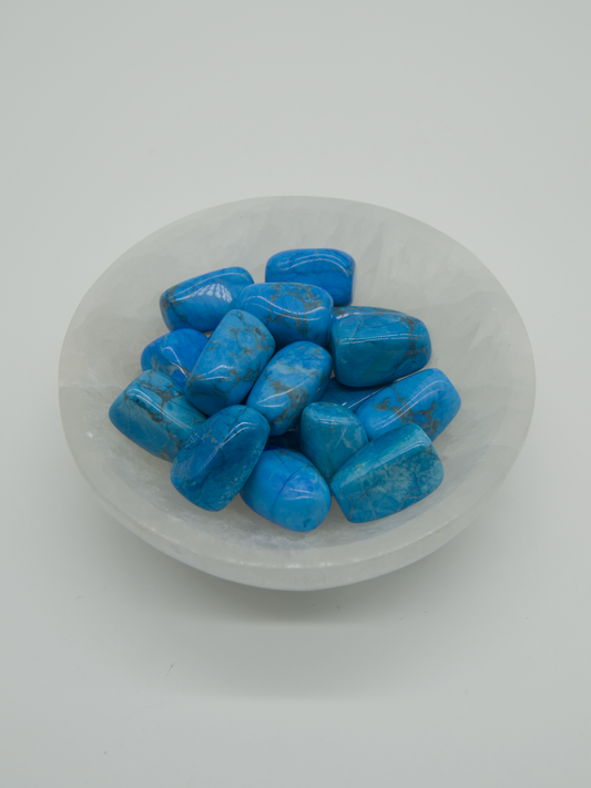Turquoise Howlite Tumbled Stones
