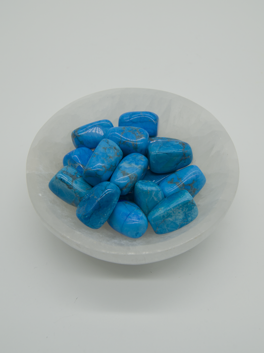 Turquoise Howlite Tumbled Stones 3 Stones $2.00