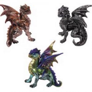 Young Dragon in Defence Pose